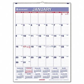 AT-A-GLANCE Wall Calendar Monthly 8 x 11 In, 6RMP5