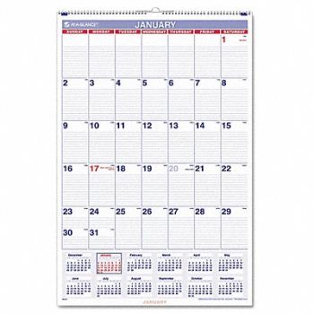 AT-A-GLANCE Wall Calendar Monthly 20 x 30 In, 6RMR0