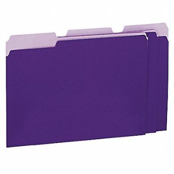 UNIVERSAL File Folders Letter Violet PK100, 6XWD9