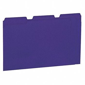 UNIVERSAL ONE File Folders Letter Violet PK100, 6XWE8