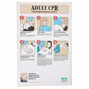 ACCUFORM First Aid Poster 17 in x 11 in Plastic, 6ZDR6