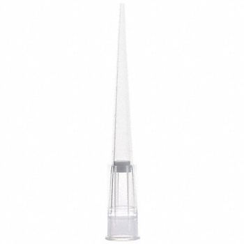 GLOBE SCIENTIFIC Filter Pipette Tip Polypropylene PK1920, 784JN2