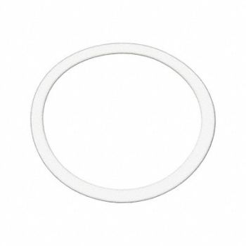 BENCHMARK SCIENTIFIC Replacement Gasket 50 mL, 792YA5