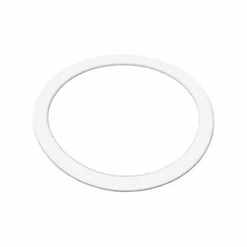 BENCHMARK SCIENTIFIC Replacement Gasket 25 mL, 792YA6