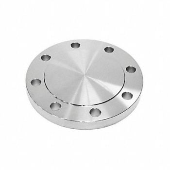 GUARDIANMADE Blind Flange 316L SS 8 NPS, 793DX8