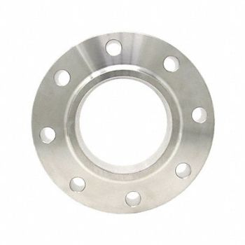 GUARDIANMADE Slip-On Flange 316L SS 10 NPS, 793DY0
