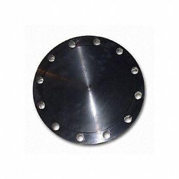 GUARDIANMADE Blind Flange Carbon Steel 10 NPS, 793DY1