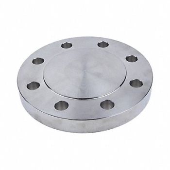 GUARDIANMADE Blind Flange 316L SS 10 NPS, 793DY2