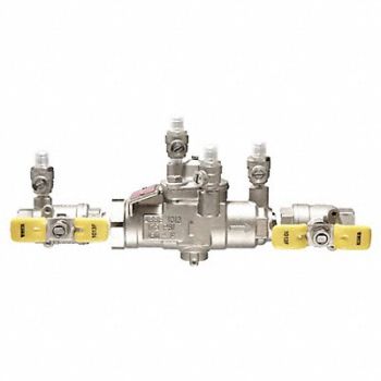WATTS Backflow Preventer Size 1 175 psi, 793HG5
