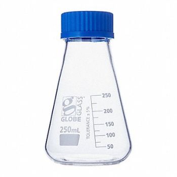 GLOBE SCIENTIFIC Erlenmeyer Flask 8.45 oz 250 mL PK6, 793W05