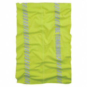 CHILL-ITS BY ERGODYNE Neck Gaiter Green 20 L Overall, 793YY3