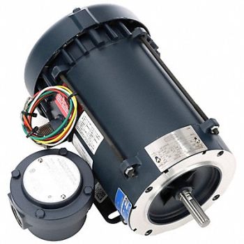 LEESON Explosion Proof Motor 0.33hp Frame Steel, 798KK6