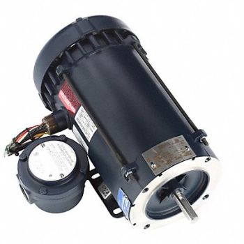 LEESON Explosion Proof Motor 2 hp Frame Steel, 798KK7