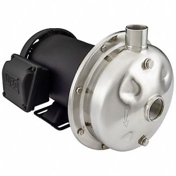 AMERICAN STAINLESS PUMPS Centrifugal Pump 208 to 230/460VAC SS, 60PY39