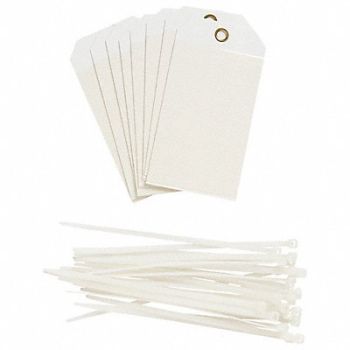 BRADY Blank Tag Polyester Colored PK10, 8CM81