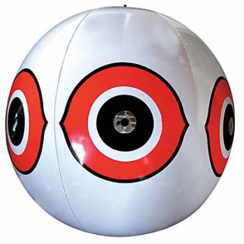 BIRD-X Visual Bird Repellers Scare Eyes White, 8DCF9