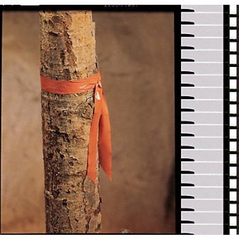 PRESCO PRODUCTS CO Taffeta Flagging Tape Orange 300ft x 1In, 9HYH9