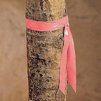 PRESCO PRODUCTS CO Taffeta Flagging Tape Pink 300 ft x 1 In, 9AEV2