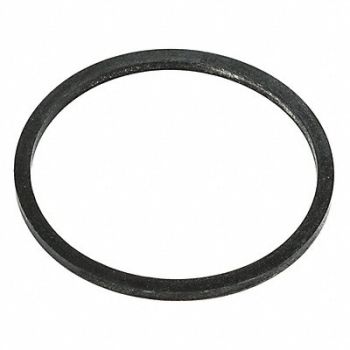 GRAINGER APPROVED Drum Plug GasketPE Nitrile Rubber PK1000, 9PV18
