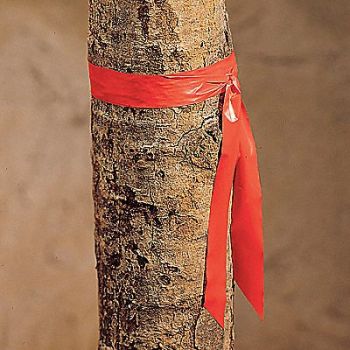 PRESCO PRODUCTS CO Taffeta Flagging Tape Red 300 ft x 1 In, 9RU68