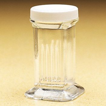 WHEATON Glass Coplin Staining Jar PK6, 9T728
