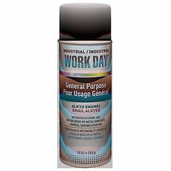 KRYLON INDUSTRIAL Spray Paint Flat White 10 oz, 800T17