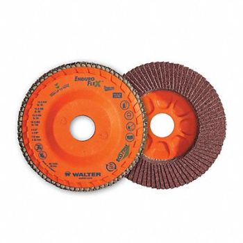 WALTER SURFACE TECHNOLOGIES Flap Disc Coated 7 dia 8 600 RPM, 804CF5
