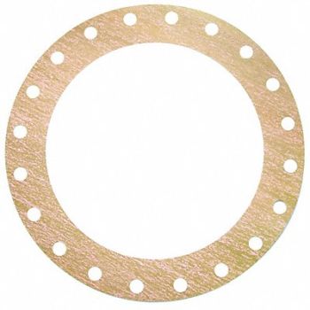 GRAINGER APPROVED Flange Gasket Full Face 24 Pipe, 55YX11