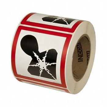 GHS SAFETY Pictogram Label Health Hazard PK500, 23J584