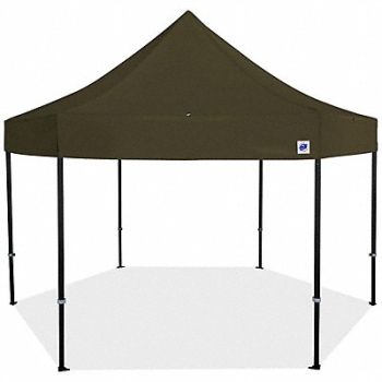 E-Z UP Shelter Green 15 ft W 15 ft L, 800J29