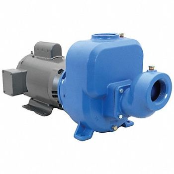 GOULDS WATER TECHNOLOGY Self Priming Pump 3 HP Cast Iron, 429J01