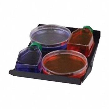 BENCHMARK SCIENTIFIC Rocking Platform Plastic Mfr No R4040, 422V44