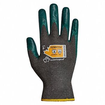 SUPERIOR GLOVE Cut-Resistant Gloves Glove Size 11 PR, 55NC64