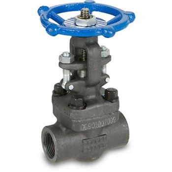 SHARPE VALVES Gate Valves Socket/Thread 2 Size, 802EJ0